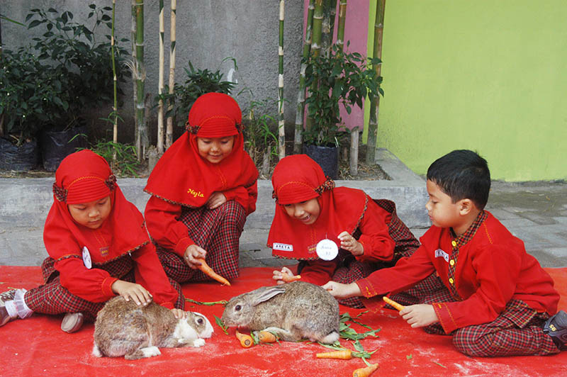 Seni