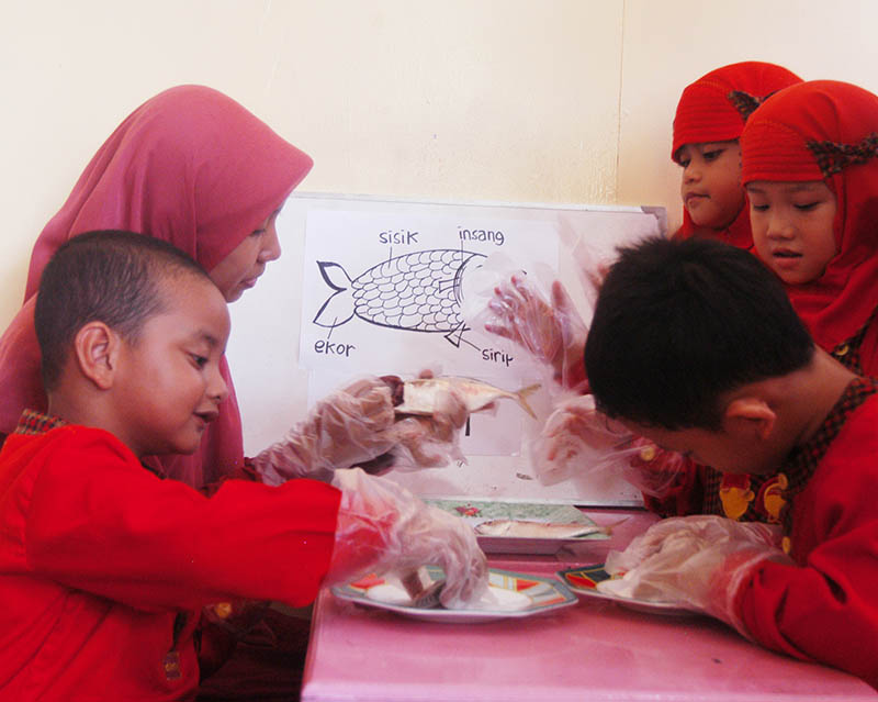 Seni